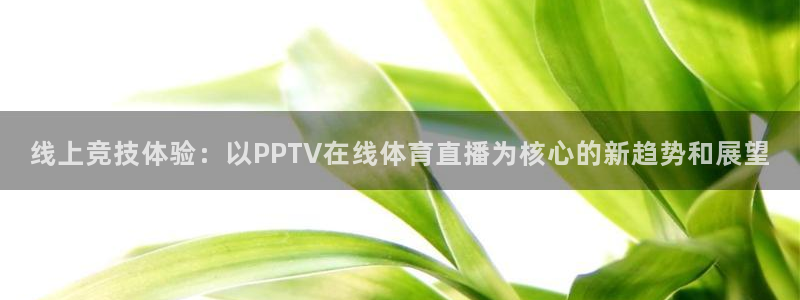 黑白体育电视直播app：线上竞技体验：以PPTV在线体育直播为核心的新趋势和展望