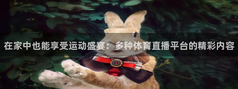 黑白体育免费观看：在家中也能享受运动盛宴：多种体育直播平台的精彩内容