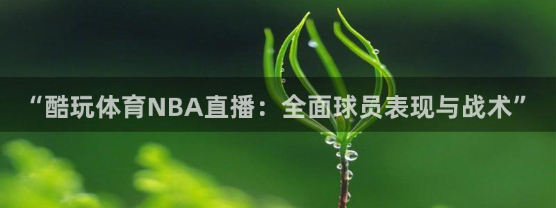 黑白篮球直播免费观看