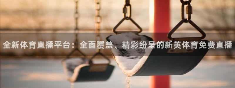黑白体育篮球直播：全新体育直播平台：全面覆盖、精彩纷呈的新英体育免费直播