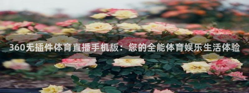黑白体育赛事直播：360无插件体育直播手机版：您的全能体育娱乐生活体验