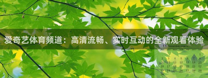 nba黑白体育免费直播：爱奇艺体育频道：高清流畅、实时互动的全新观看体验