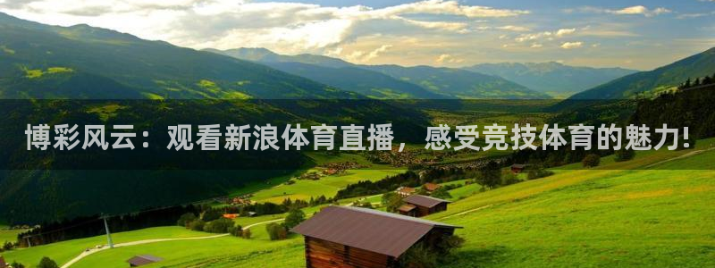 黑白视频nba直播：博彩风云：观看新浪体育直播，感受竞技体育的魅力!