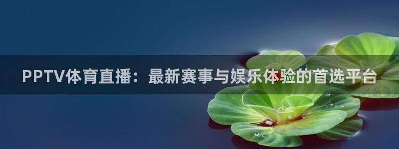 黑白体育赛事直播：PPTV体育直播：最新赛事与娱乐体验的首选平台