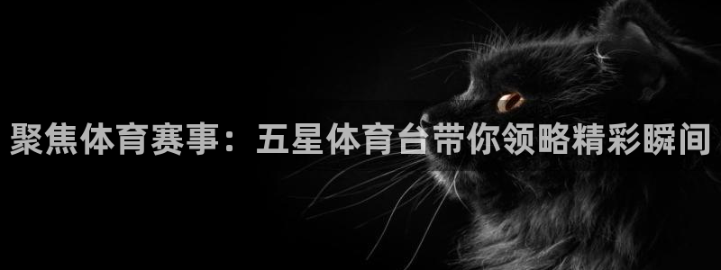 黑白直体育直播：聚焦体育赛事：五星体育台带你领略精彩瞬间