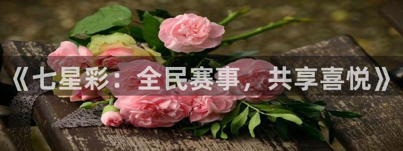 黑白体育直播app下载满20即提.火速到达.top：《七星彩：全民赛事，共享喜悦》