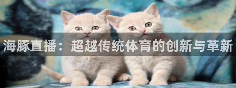 黑白直播官网nba直播：海豚直播：超越传统体育的创新与革新