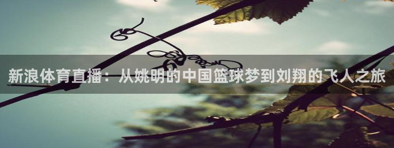 黑白体育直播在线：新浪体育直播：从姚明的中国篮球梦到刘翔的飞人之旅