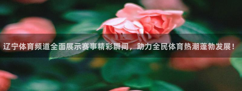 nba黑白体育免费观看：辽宁体育频道全面展示赛事精彩瞬间，助力全民体育热潮蓬勃发展！